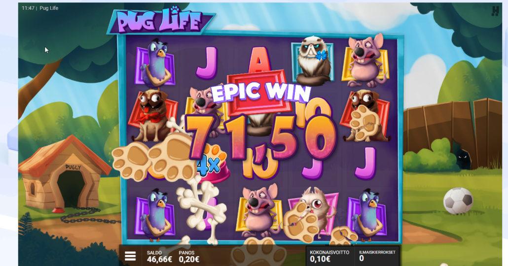 Pug Life slot machine online casino gambling big win