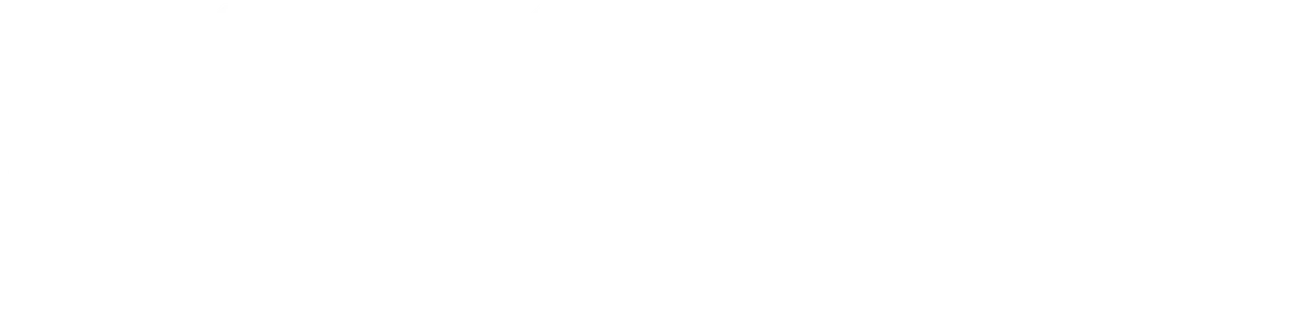 Pelipeto casino logo